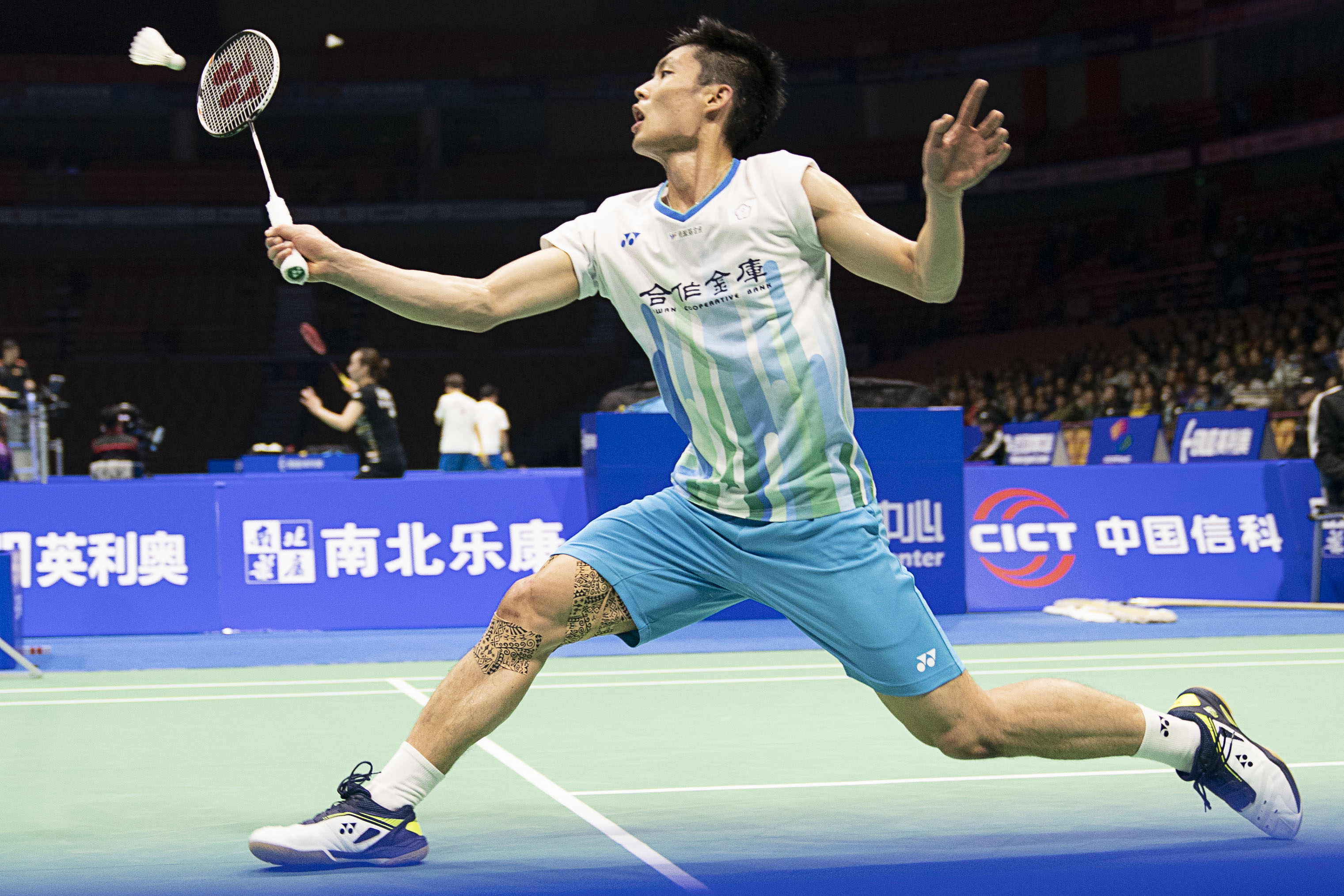 迷们奉献了 迷们奉献了